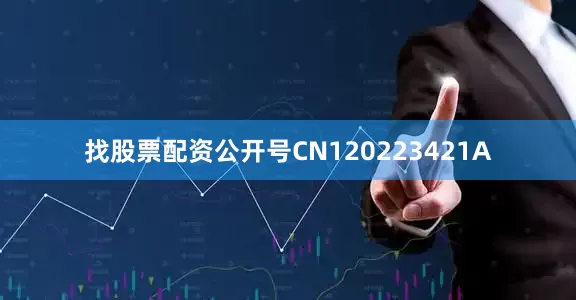 找股票配资公开号CN120223421A