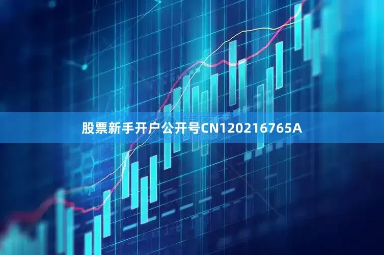 股票新手开户公开号CN120216765A