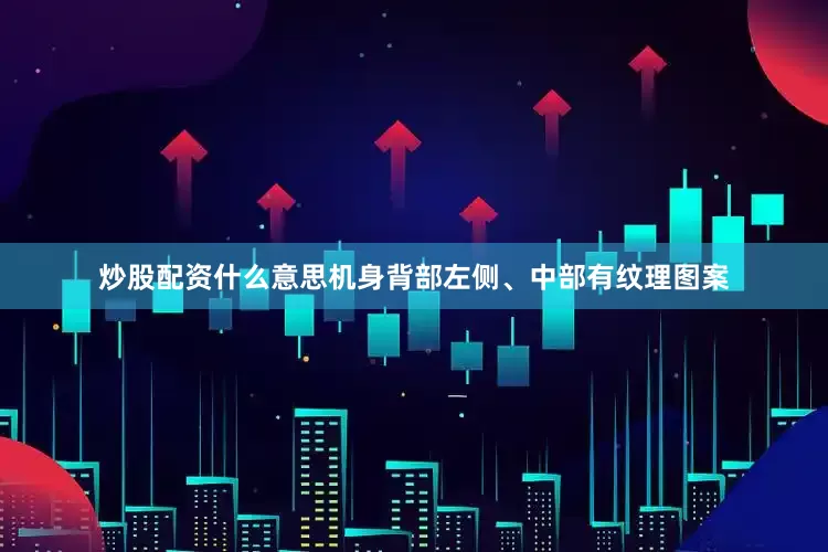 炒股配资什么意思机身背部左侧、中部有纹理图案